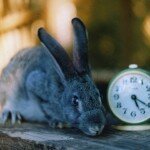 Як правильно говорити про час українською