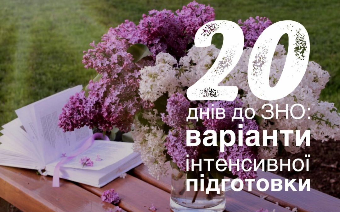 20 днів до ЗНО: варіанти інтенсивної підготовки